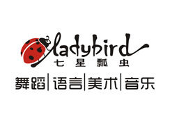 派臣簽約七星瓢蟲藝術(shù)教育學校提供官網(wǎng)改版建設(shè)