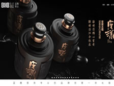 重慶藍(lán)色之鷹品牌營(yíng)銷(xiāo)策劃有限公司網(wǎng)站 正式上線